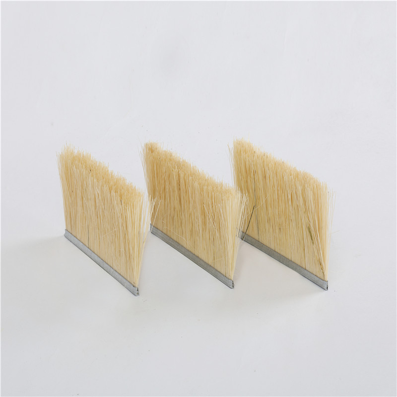 Mexico Fiber Strip Brush